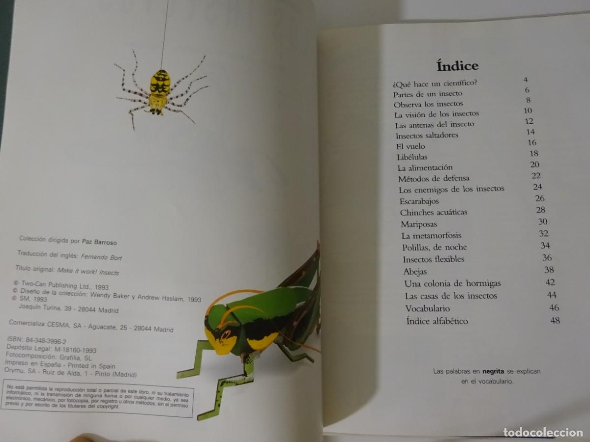 Libros de segunda mano: LOS INSECTOS, ED. SM, 1.993, EXCELENTE ESTADO - Foto 2