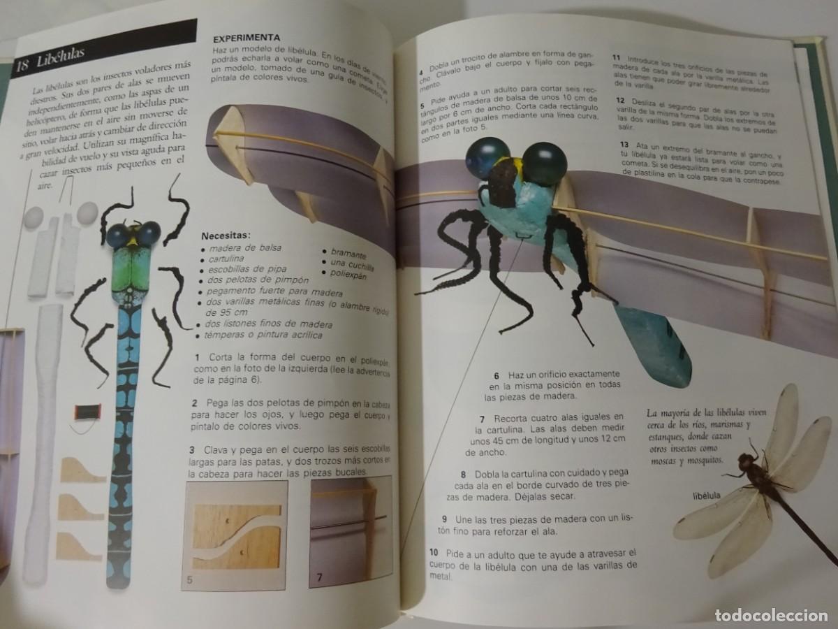Libros de segunda mano: LOS INSECTOS, ED. SM, 1.993, EXCELENTE ESTADO - Foto 3