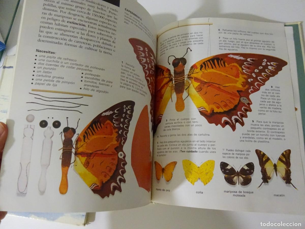 Libros de segunda mano: LOS INSECTOS, ED. SM, 1.993, EXCELENTE ESTADO - Foto 4