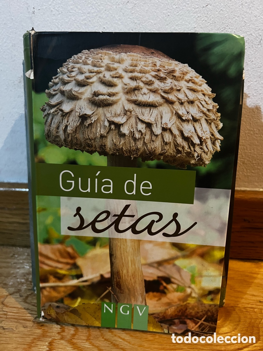 Libros de segunda mano: Gu&iacute;a de setas libro biolog&iacute;a - Foto 1