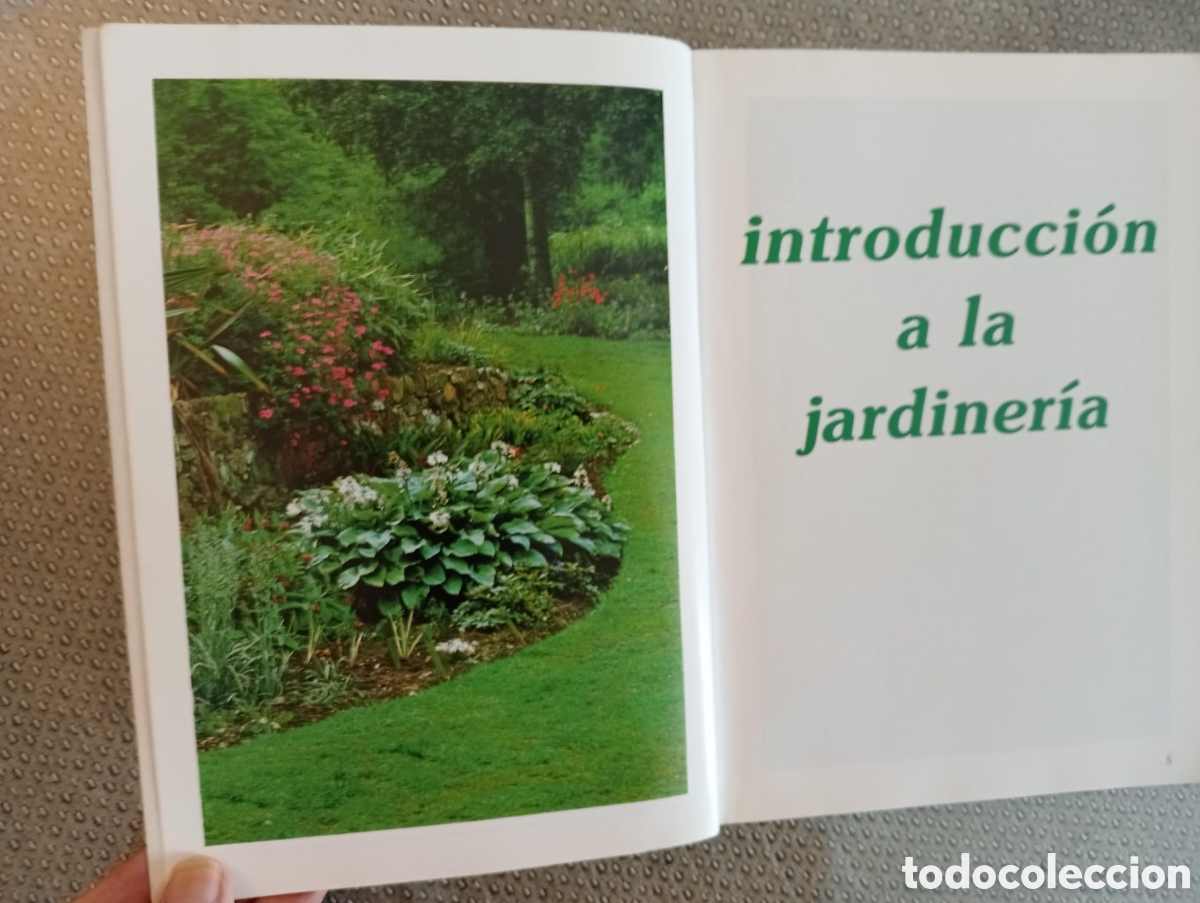 Libros de segunda mano: Manual pr&aacute;ctico de jardiner&iacute;a / Miguel Le&oacute;n Serrano. - Foto 3
