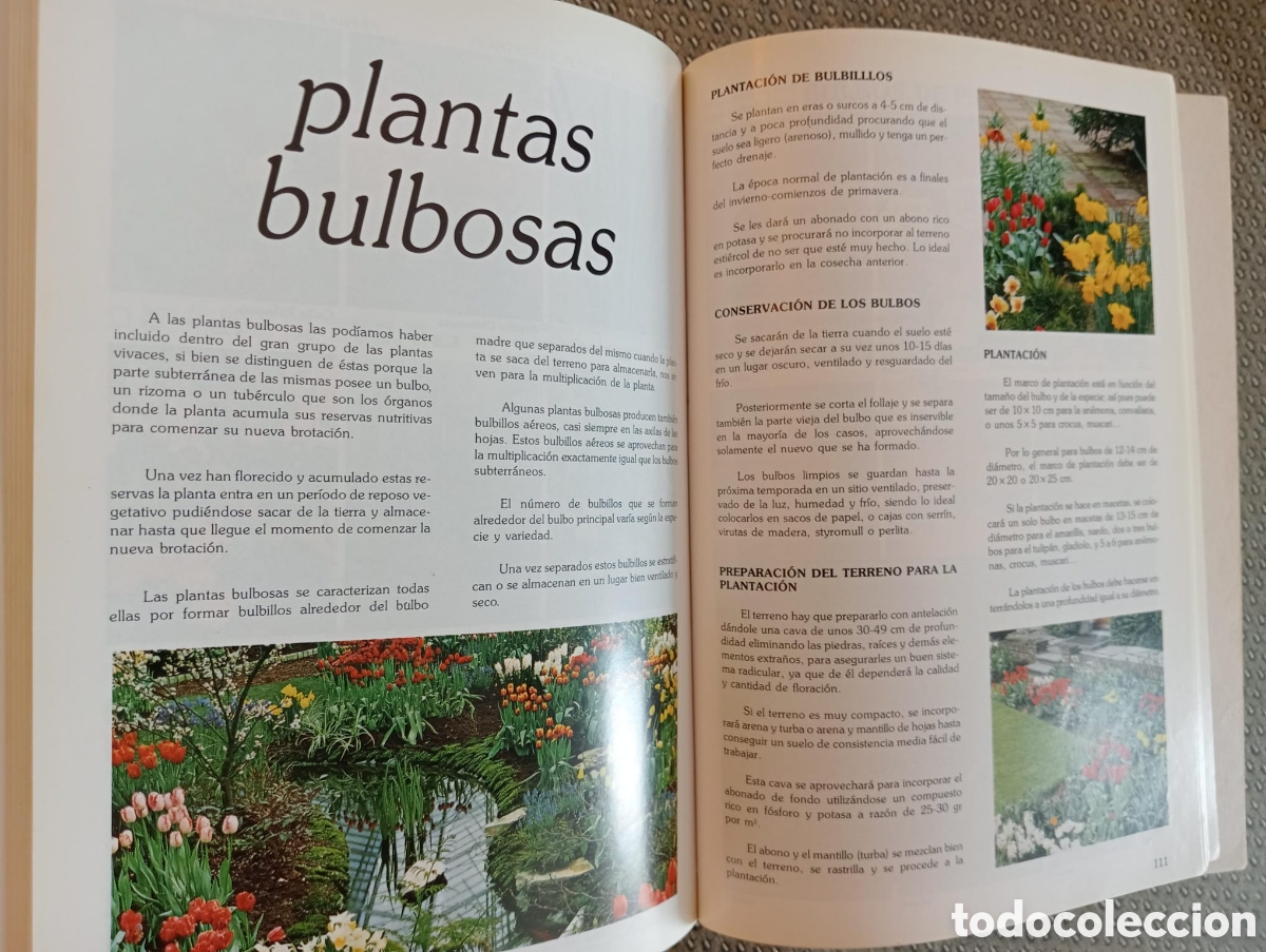 Libros de segunda mano: Manual pr&aacute;ctico de jardiner&iacute;a / Miguel Le&oacute;n Serrano. - Foto 4