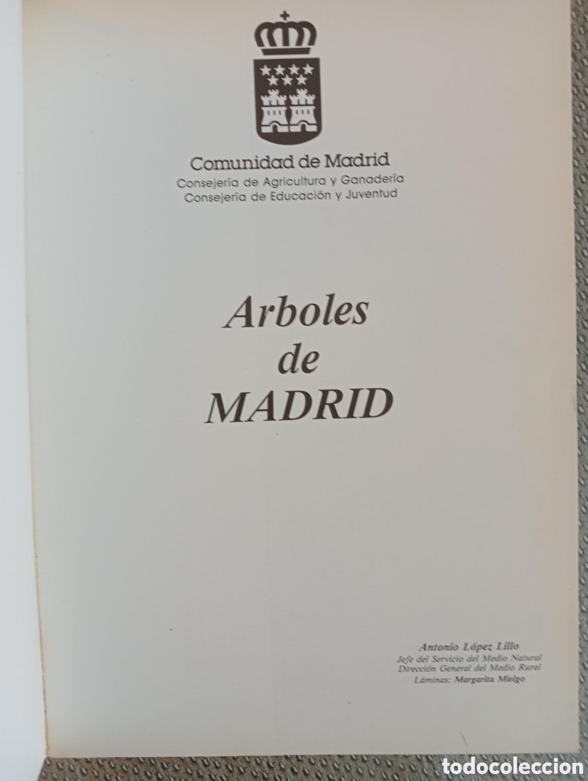 Libros de segunda mano: &Aacute;rboles de Madrid / Francisco L&oacute;pez Lillo - Foto 2