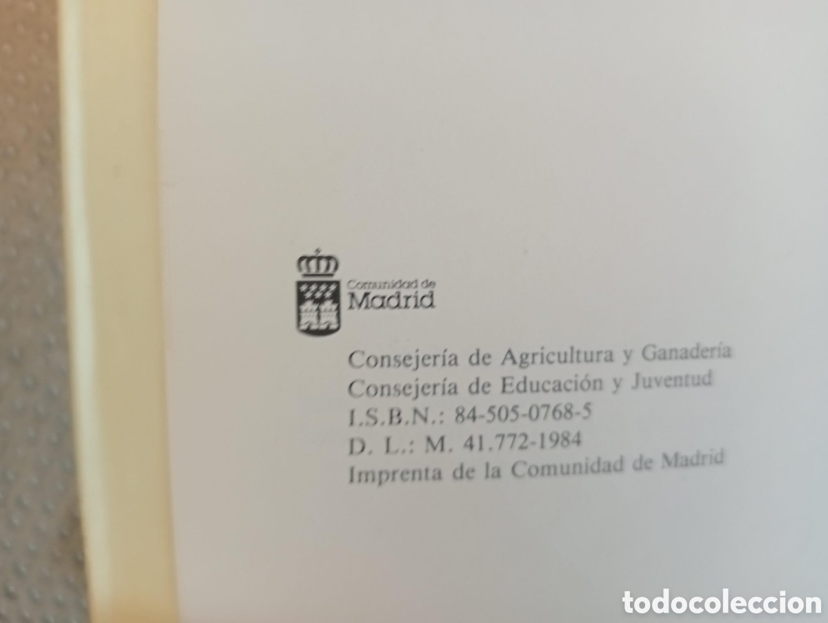 Libros de segunda mano: &Aacute;rboles de Madrid / Francisco L&oacute;pez Lillo - Foto 3