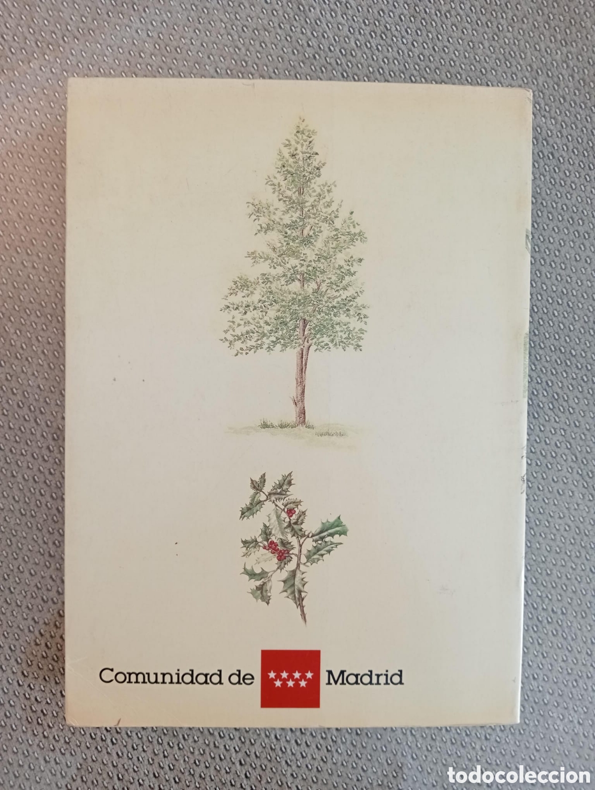 Libros de segunda mano: &Aacute;rboles de Madrid / Francisco L&oacute;pez Lillo - Foto 5