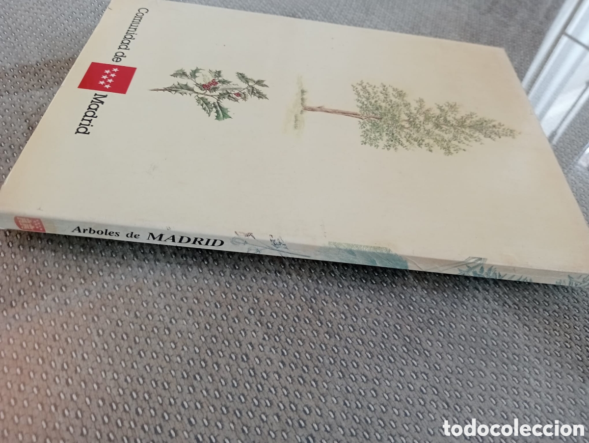 Libros de segunda mano: &Aacute;rboles de Madrid / Francisco L&oacute;pez Lillo - Foto 6