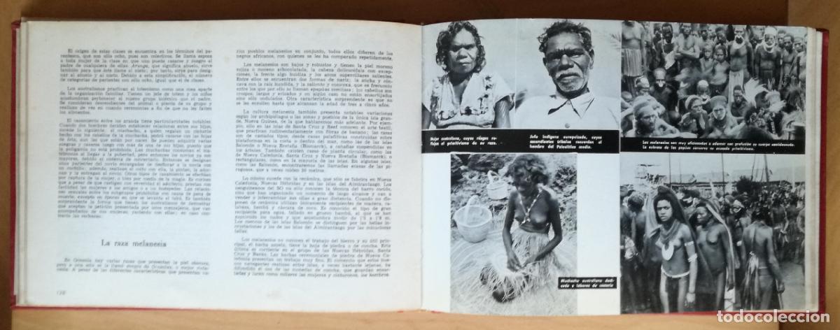Libros de segunda mano: Las razas del mundo - Augusto Planyella; Ediciones Rodegar, 1966 - Foto 2