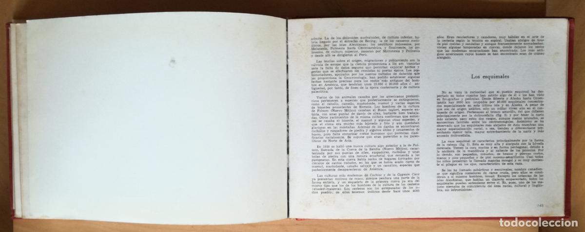 Libros de segunda mano: Las razas del mundo - Augusto Planyella; Ediciones Rodegar, 1966 - Foto 3