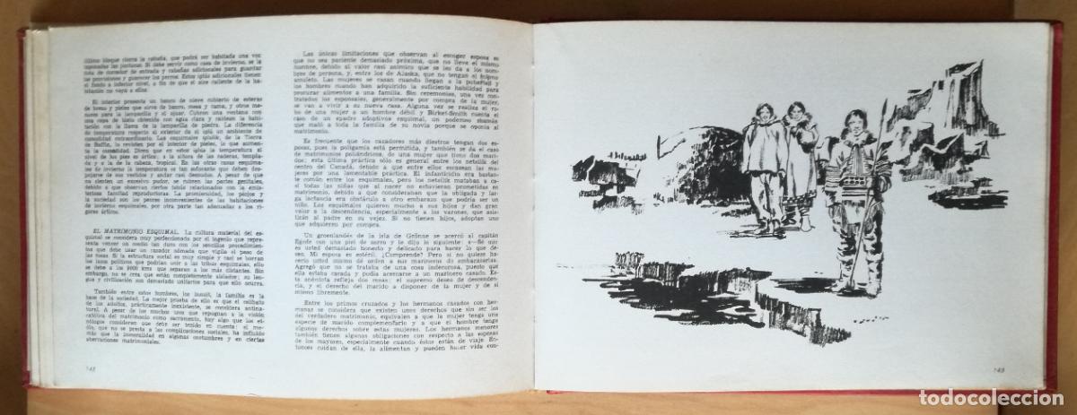 Libros de segunda mano: Las razas del mundo - Augusto Planyella; Ediciones Rodegar, 1966 - Foto 4