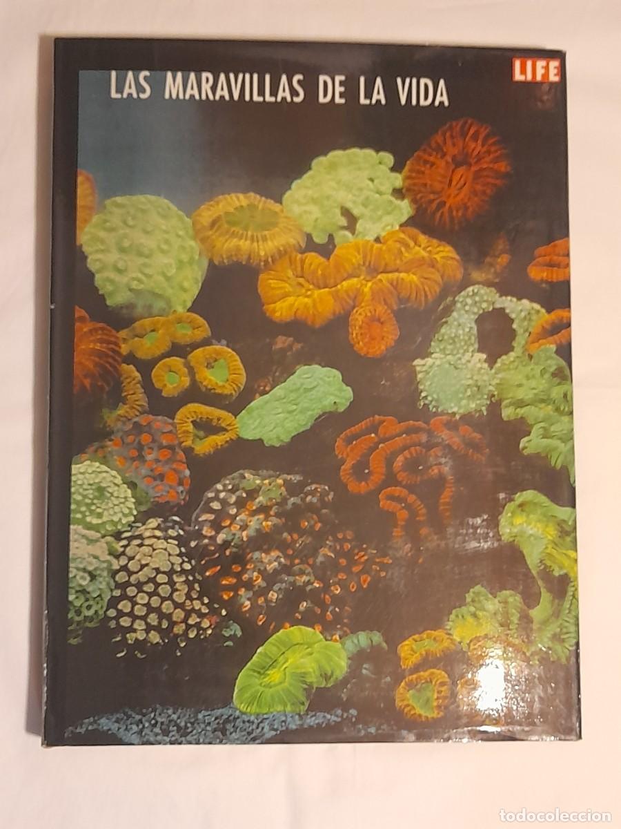 Libros de segunda mano: LAS MARAVILLAS DE LA VIDA. LIFE. - Foto 1