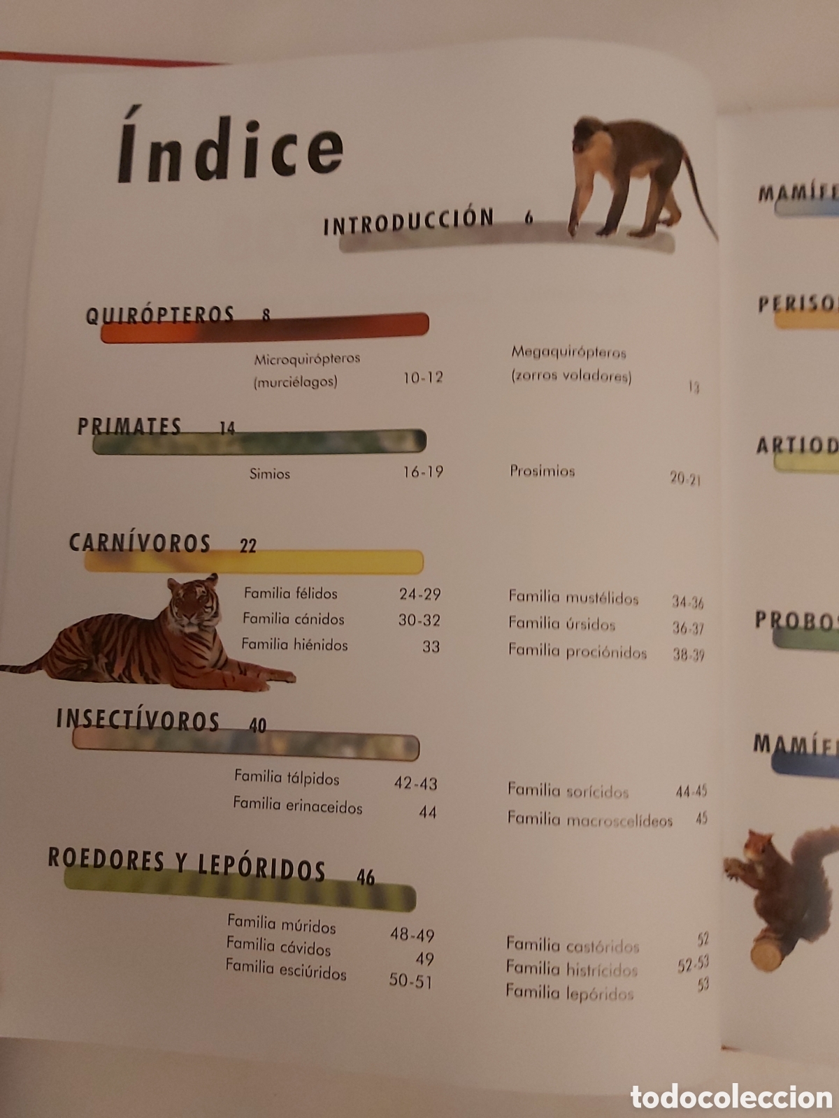 Libros de segunda mano: MAM&Iacute;FEROS ANATOM&Iacute;A COMPORTAMIENTO H&Aacute;BITAT APRENDER ES F&Aacute;CIL - Foto 2