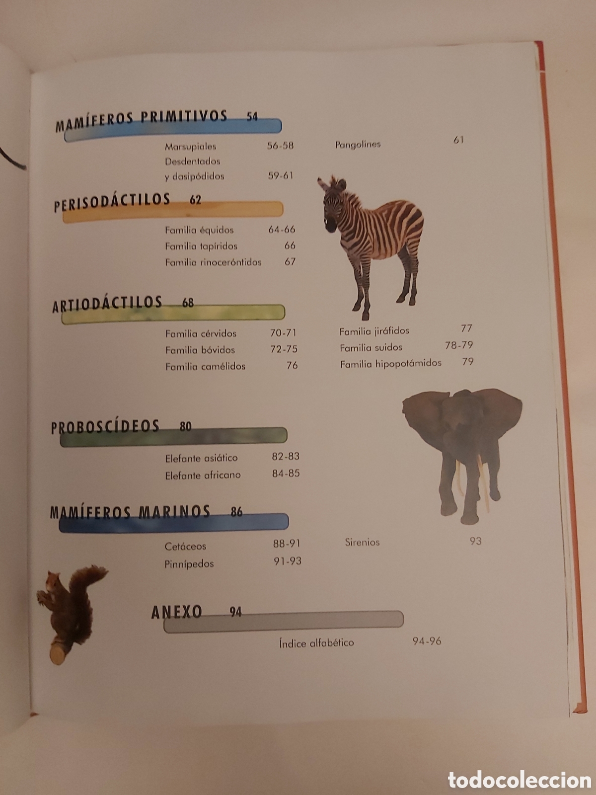Libros de segunda mano: MAM&Iacute;FEROS ANATOM&Iacute;A COMPORTAMIENTO H&Aacute;BITAT APRENDER ES F&Aacute;CIL - Foto 3