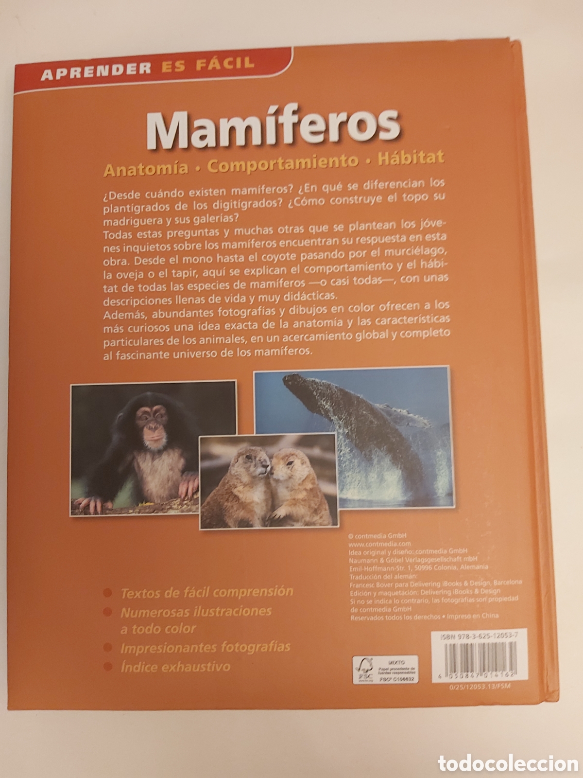 Libros de segunda mano: MAM&Iacute;FEROS ANATOM&Iacute;A COMPORTAMIENTO H&Aacute;BITAT APRENDER ES F&Aacute;CIL - Foto 8