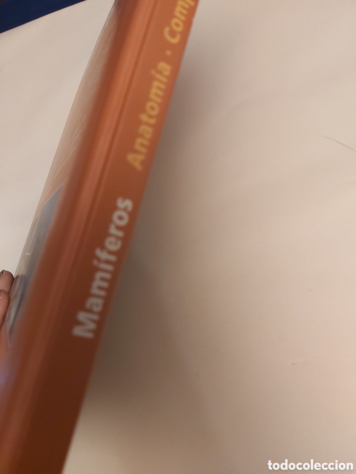Libros de segunda mano: MAM&Iacute;FEROS ANATOM&Iacute;A COMPORTAMIENTO H&Aacute;BITAT APRENDER ES F&Aacute;CIL - Foto 9