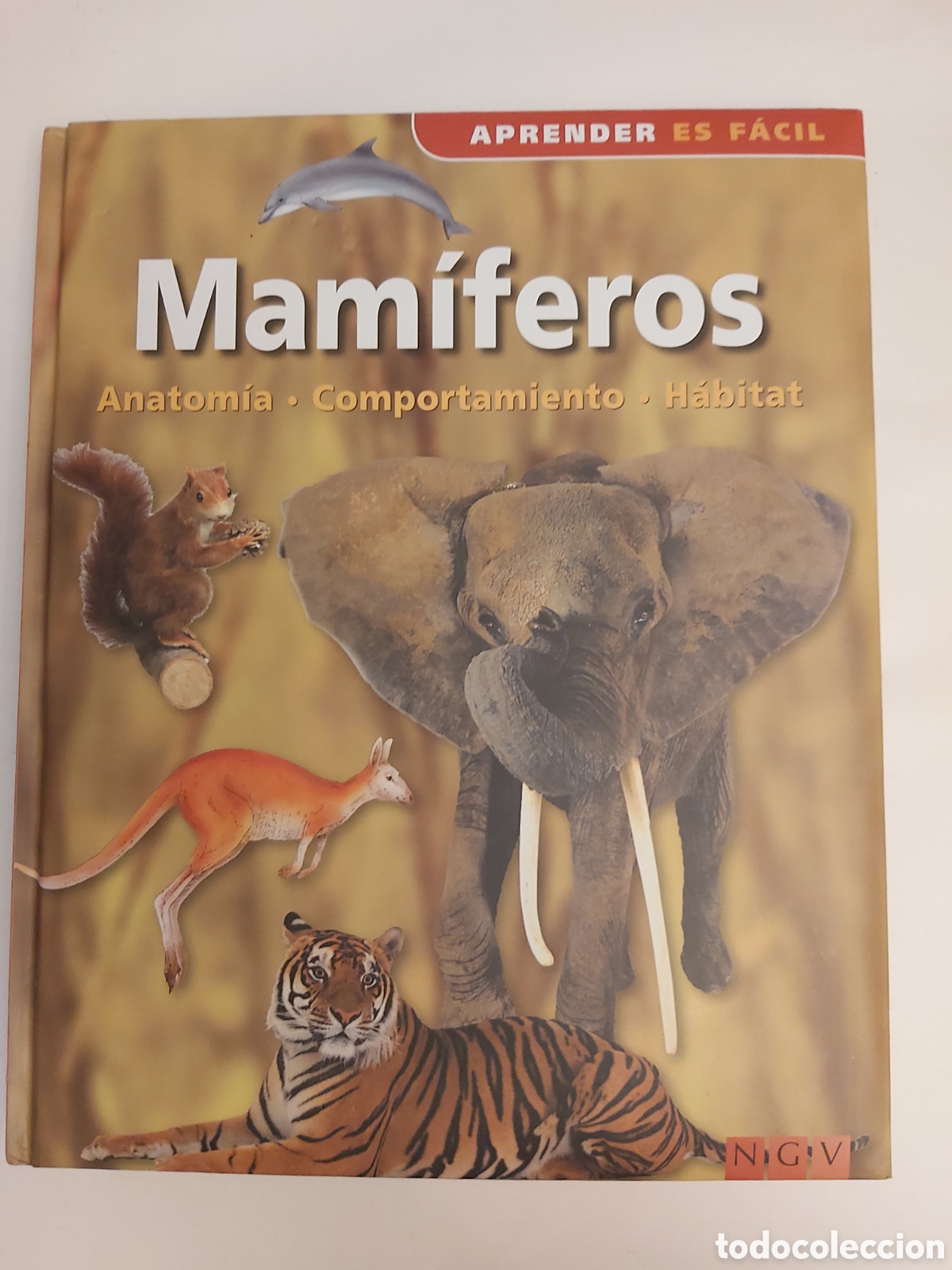 Libros de segunda mano: MAM&Iacute;FEROS ANATOM&Iacute;A COMPORTAMIENTO H&Aacute;BITAT APRENDER ES F&Aacute;CIL - Foto 1