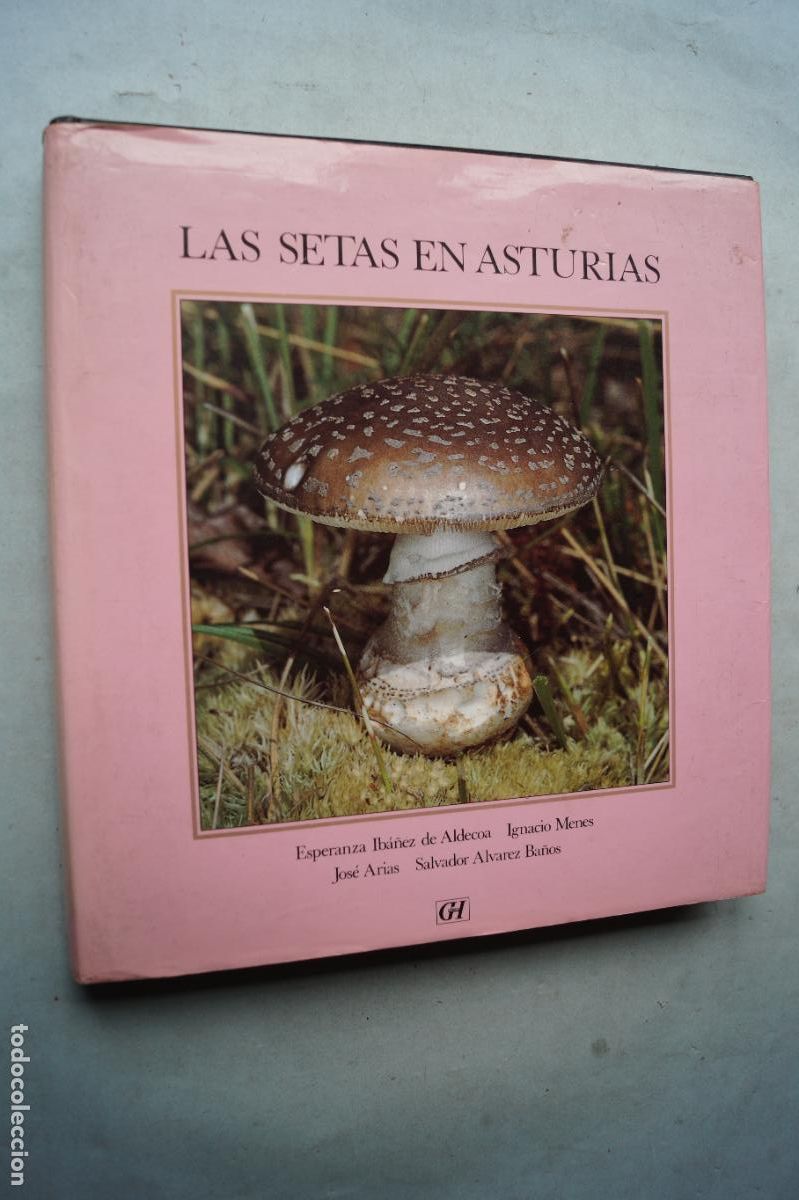 Libros de segunda mano: LAS SETAS EN ASTURIAS. VV.AA - Foto 1