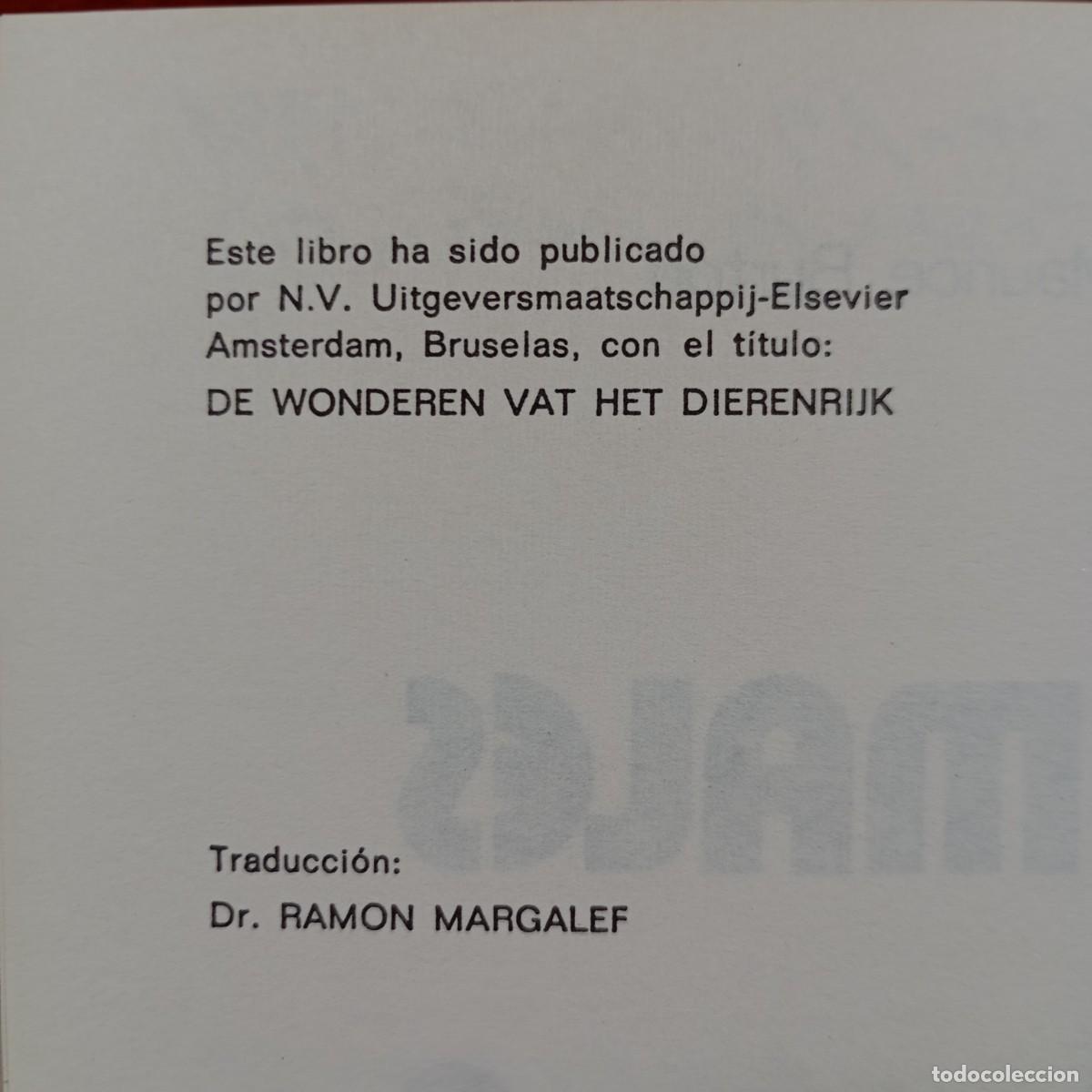 Libros de segunda mano: DR. MAURICE BURTON - ANIMALES 3, INSECTOS - EDICIONES DAIMON - 1973 / 1050 - Foto 4