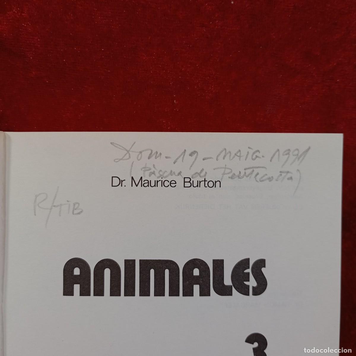 Libros de segunda mano: DR. MAURICE BURTON - ANIMALES 3, INSECTOS - EDICIONES DAIMON - 1973 / 1050 - Foto 6