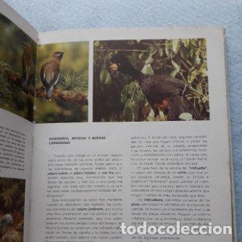 Libros de segunda mano: Vida Secreta de los Animales. Walt Disney. - Foto 3