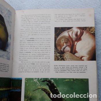 Libros de segunda mano: Vida Secreta de los Animales. Walt Disney. - Foto 4
