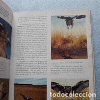 Libros de segunda mano: Vida Secreta de los Animales. Walt Disney. - Foto 7