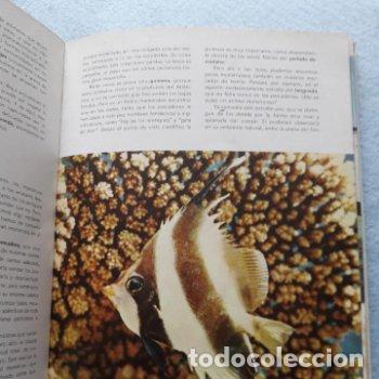 Libros de segunda mano: Vida Secreta de los Animales. Walt Disney. - Foto 8