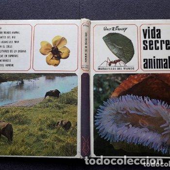 Libros de segunda mano: Vida Secreta de los Animales. Walt Disney. - Foto 9