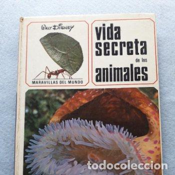 Libros de segunda mano: Vida Secreta de los Animales. Walt Disney. - Foto 1