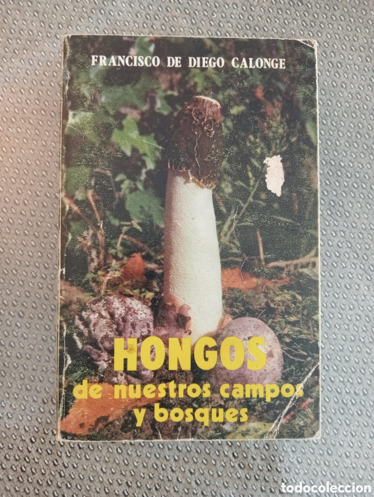 Libros de segunda mano: HONGOS DE NUESTROS CAMPOS Y BOSQUES - Foto 1