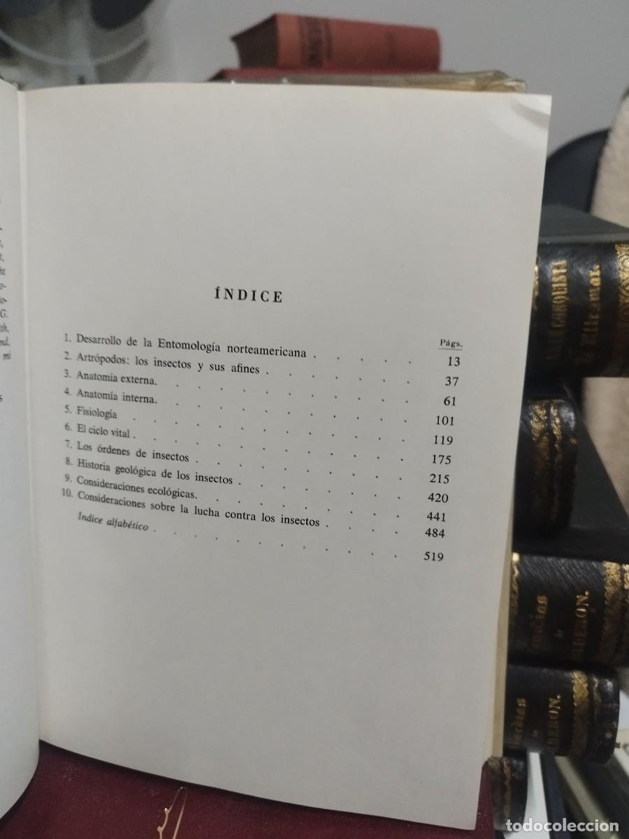 Libros de segunda mano: INTRODUCCI&Oacute;N A LA ENTOMOLOG&Iacute;A - HERBERT ROSS - OMEGA, 1968 - Foto 2