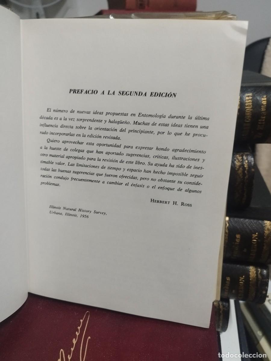 Libros de segunda mano: INTRODUCCI&Oacute;N A LA ENTOMOLOG&Iacute;A - HERBERT ROSS - OMEGA, 1968 - Foto 4