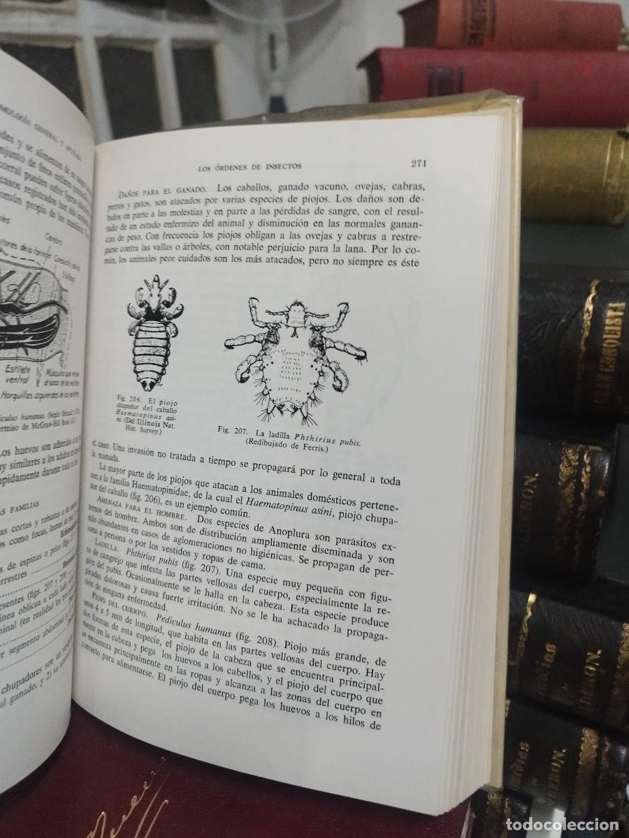 Libros de segunda mano: INTRODUCCI&Oacute;N A LA ENTOMOLOG&Iacute;A - HERBERT ROSS - OMEGA, 1968 - Foto 5