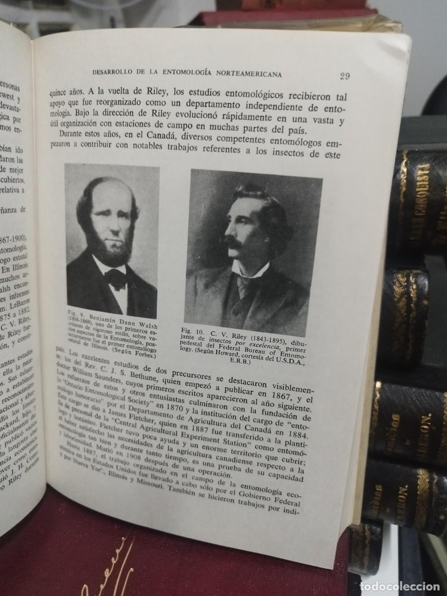 Libros de segunda mano: INTRODUCCI&Oacute;N A LA ENTOMOLOG&Iacute;A - HERBERT ROSS - OMEGA, 1968 - Foto 6