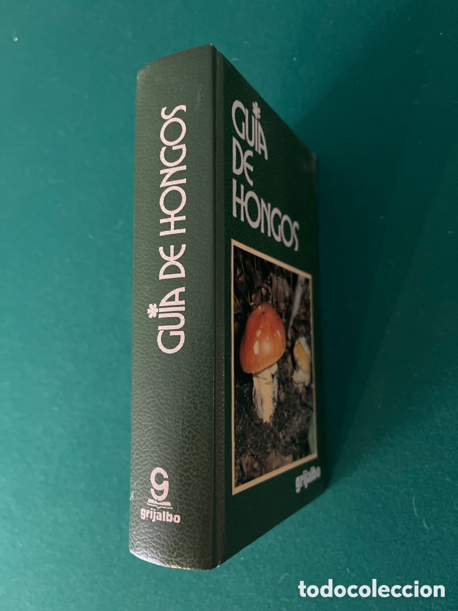 Libros de segunda mano: Gu&iacute;a de hongos. Giovanni Pacioni - Foto 2