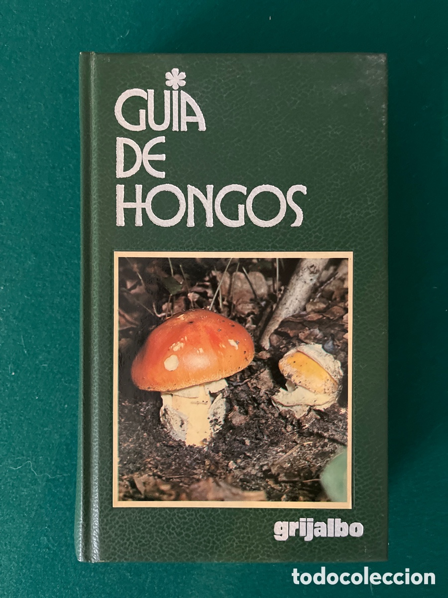 Libros de segunda mano: Gu&iacute;a de hongos. Giovanni Pacioni - Foto 1