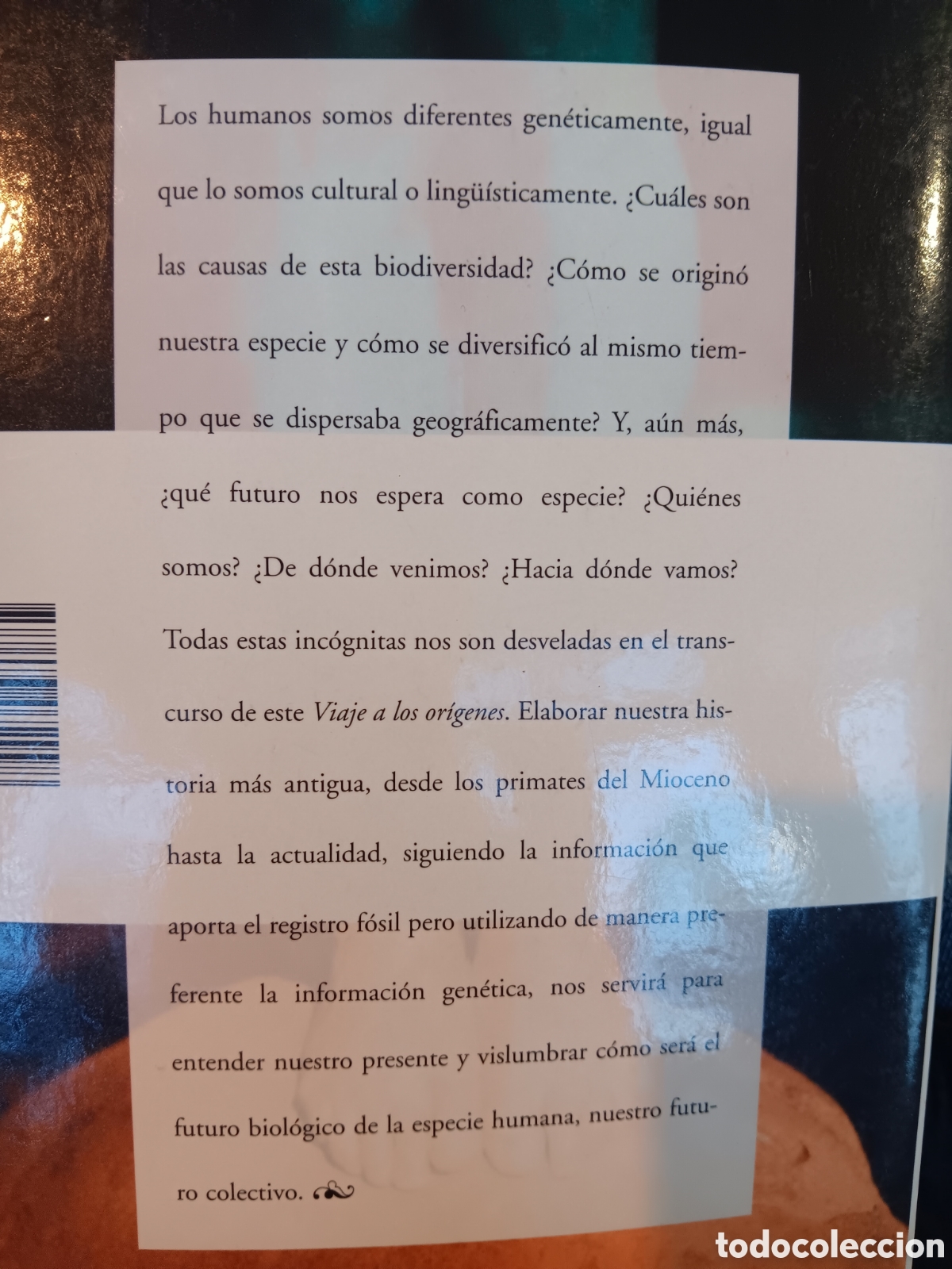 Libros de segunda mano: J. Bertranpetit y C. Junyent. Viaje a los or&iacute;genes - Foto 2