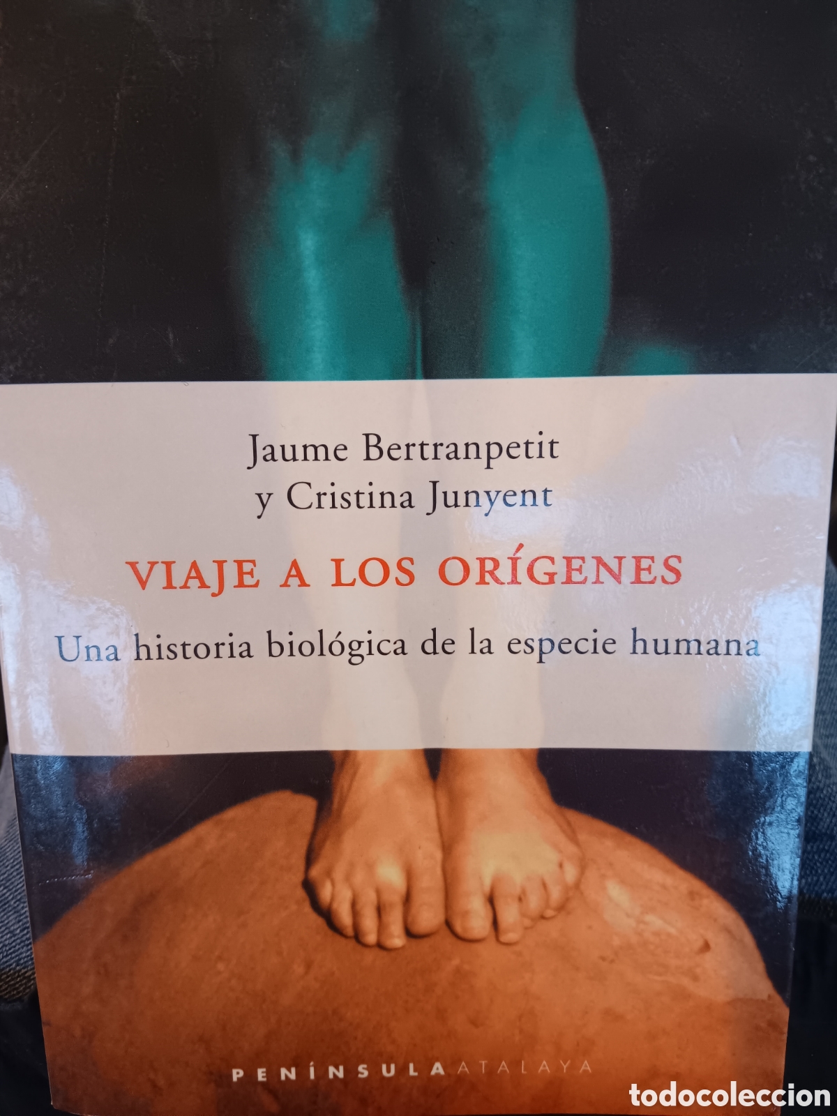 Libros de segunda mano: J. Bertranpetit y C. Junyent. Viaje a los or&iacute;genes - Foto 1