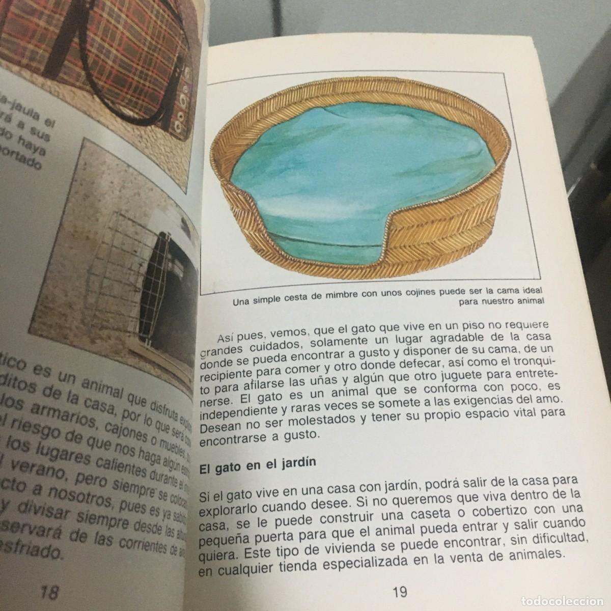 Libros de segunda mano: los gatos ana gilabert - Foto 3