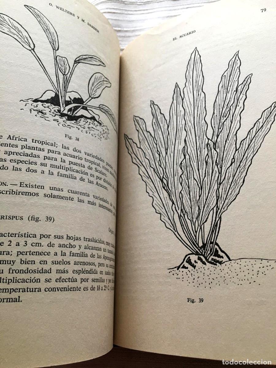 Libros de segunda mano: Libro El Acuario de Ediciones Corona, 1963 - Foto 4