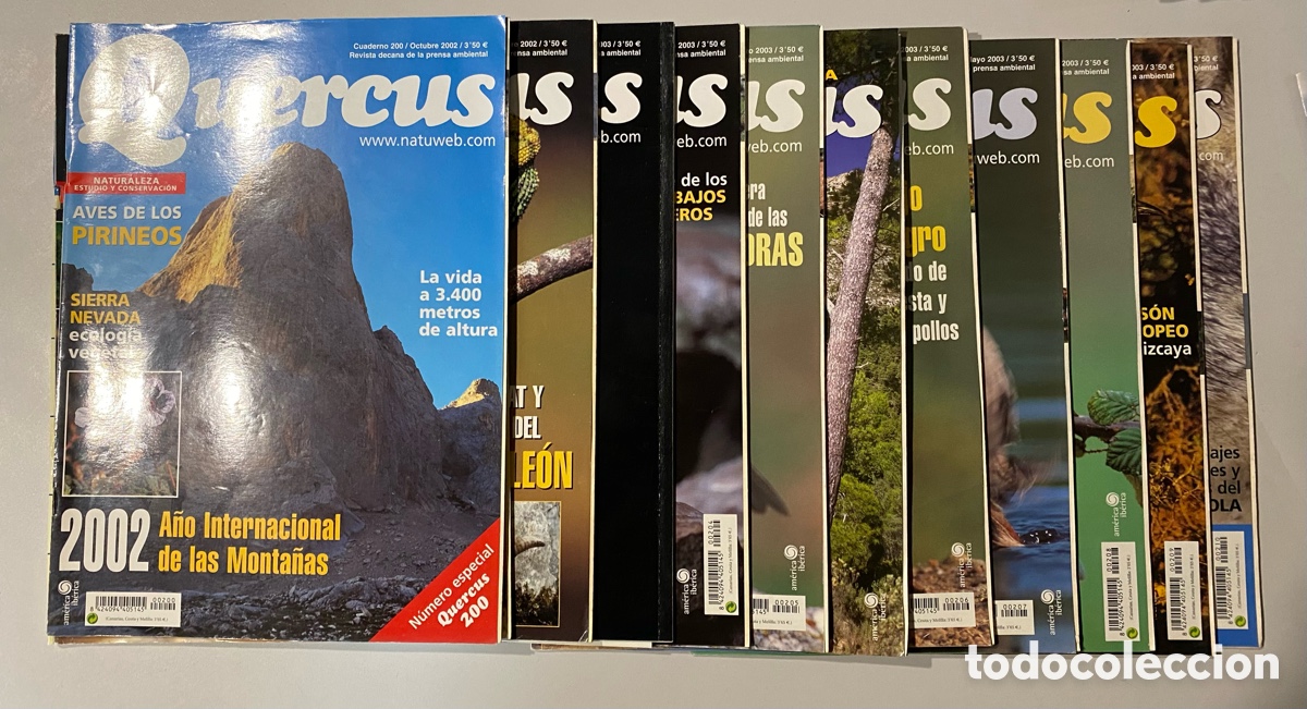 Libros de segunda mano: Revistas Quercus 200-210 + Especial - Foto 3