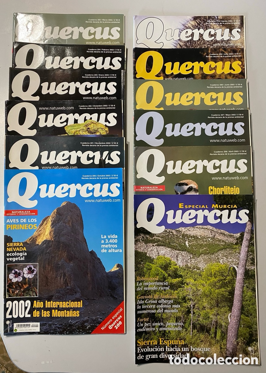 Libros de segunda mano: Revistas Quercus 200-210 + Especial - Foto 1