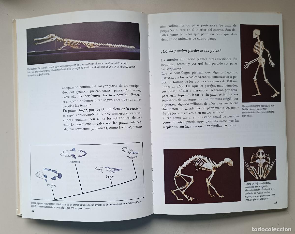Libros de segunda mano: LA AVENTURA DE LA VIDA. LAROUSSE. EXPLORER - Foto 4