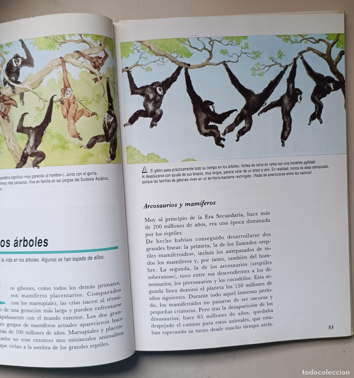 Libros de segunda mano: LA AVENTURA DE LA VIDA. LAROUSSE. EXPLORER - Foto 5