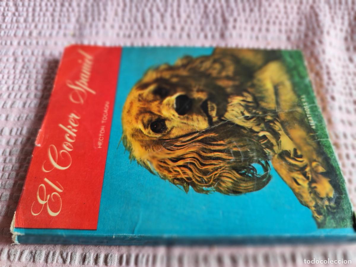 Libros de segunda mano: COCKER SPANIEL / Hector Tocagni / TXT 123 / ALBATROS - Foto 1