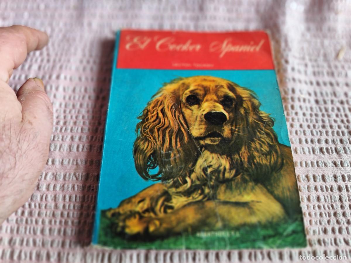 Libros de segunda mano: COCKER SPANIEL / Hector Tocagni / TXT 123 / ALBATROS - Foto 2