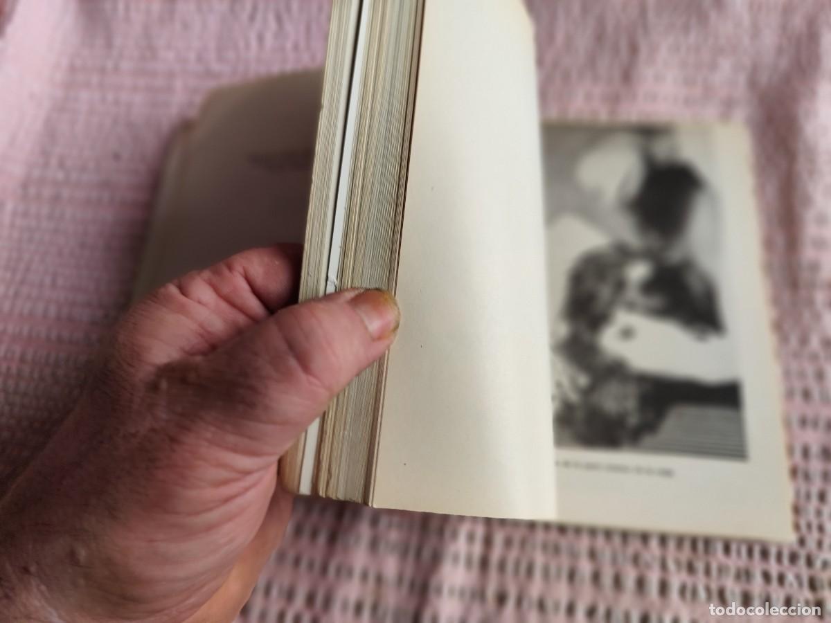 Libros de segunda mano: COCKER SPANIEL / Hector Tocagni / TXT 123 / ALBATROS - Foto 5