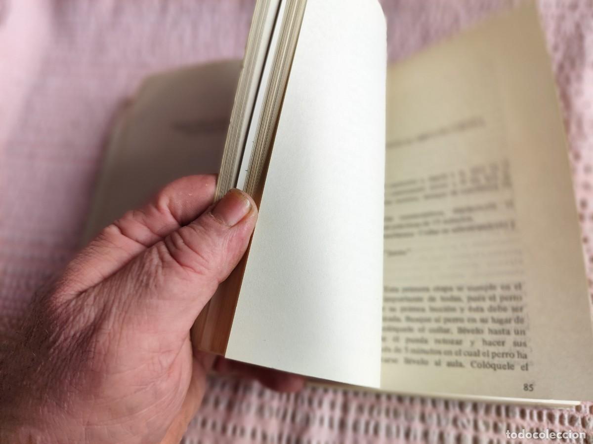 Libros de segunda mano: COCKER SPANIEL / Hector Tocagni / TXT 123 / ALBATROS - Foto 8