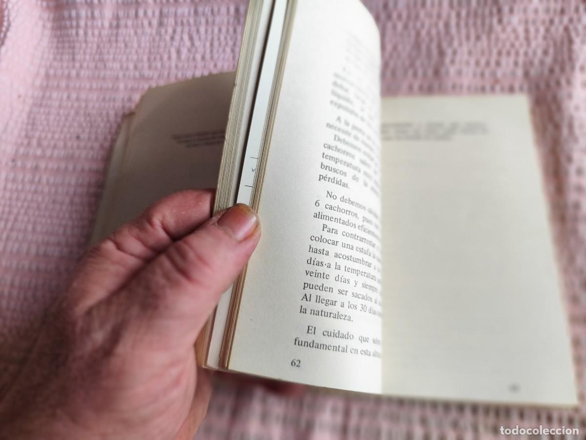 Libros de segunda mano: COCKER SPANIEL / Hector Tocagni / TXT 123 / ALBATROS - Foto 9