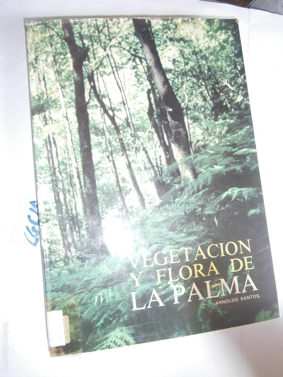 Libros de segunda mano: GRAN VOLUMEN - VEGETACION Y FLORA DE LA PALMA - Foto 1