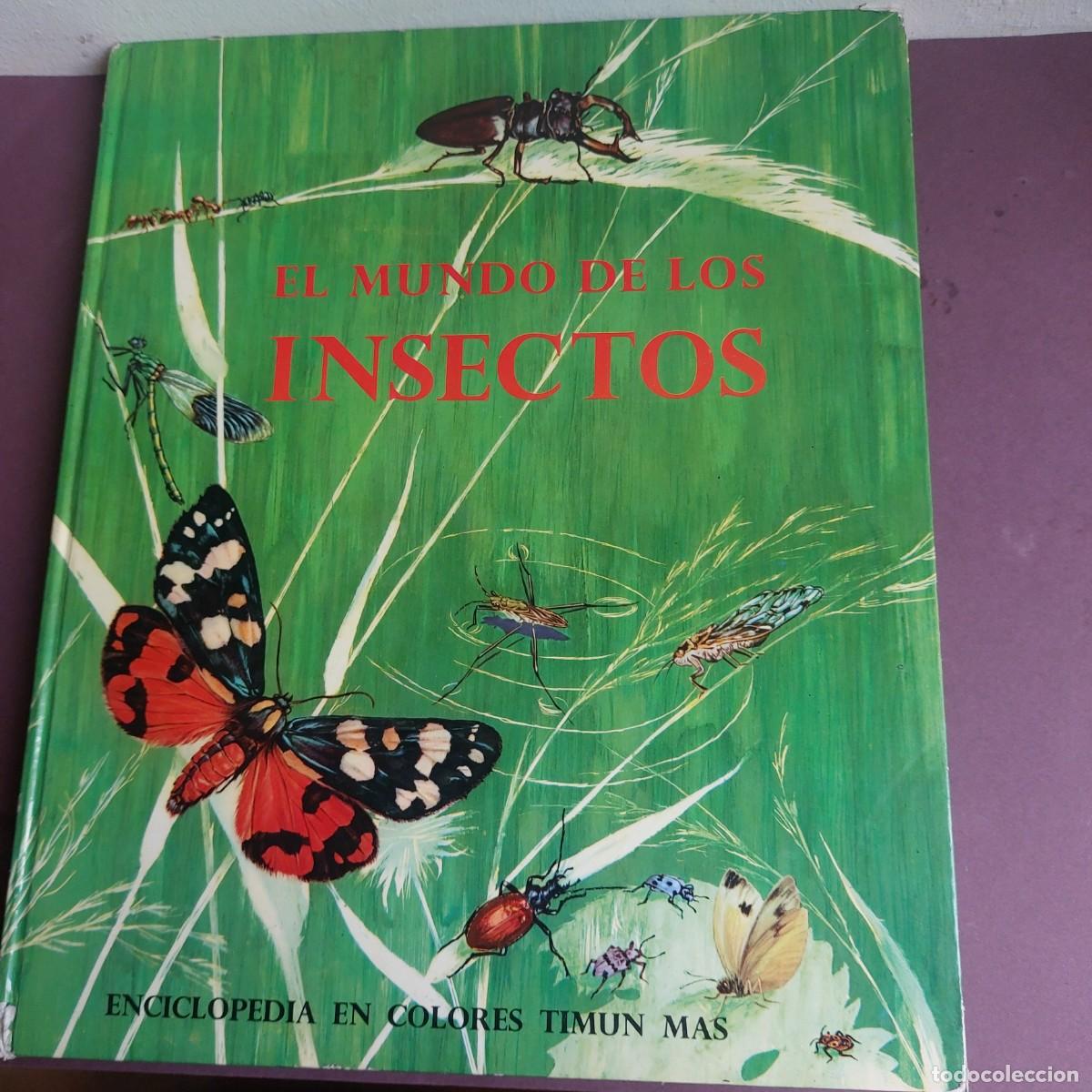 Libros de segunda mano: El mundo de los insectos - Editorial Timun Mas - 1971 - Foto 1